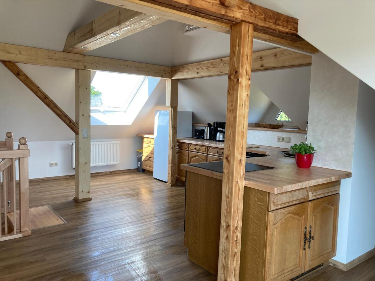 Apartment-Haus Landeskrone Drezda Kültér fotó